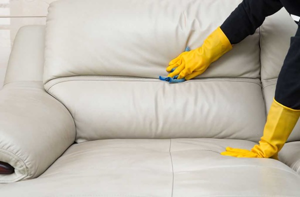 Ghế da bị mốc làm mất tính thẩm mỹ cũng như ảnh hưởng đến sức khỏe người dùng