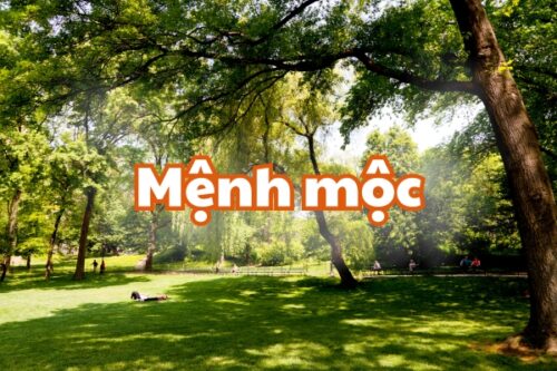 Tổng quan về người mệnh mộc