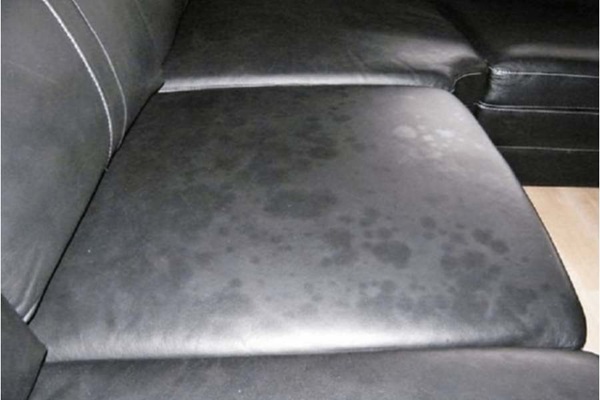Ghế da bị mốc do môi trường có độ ẩm cao