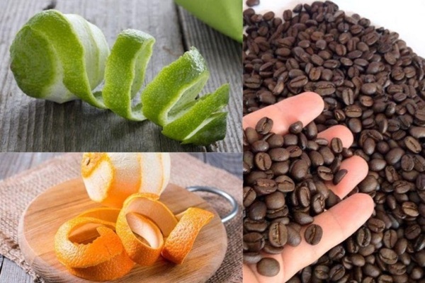 Tác dụng tuyệt vời của vỏ các loại trái cây