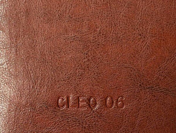 Một số ưu nhược điểm nổi bật của da cleo