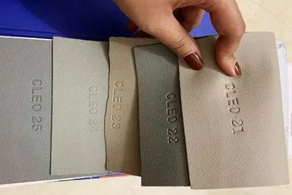 Tham khảo bảng màu da cleo